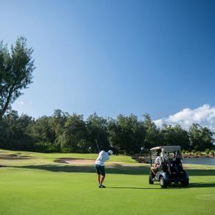 Golfers on Turtle Bay course green