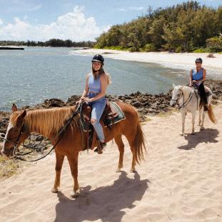 Horseback riding