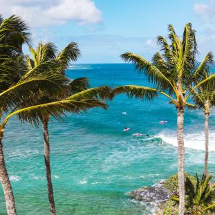 North Shore Oahu resort