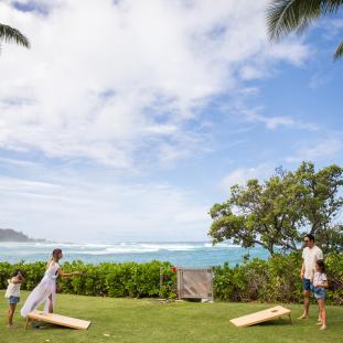 Family Lawn Games 