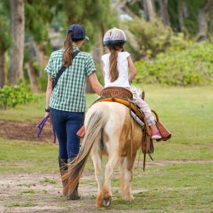 Stables at Turtle Bay