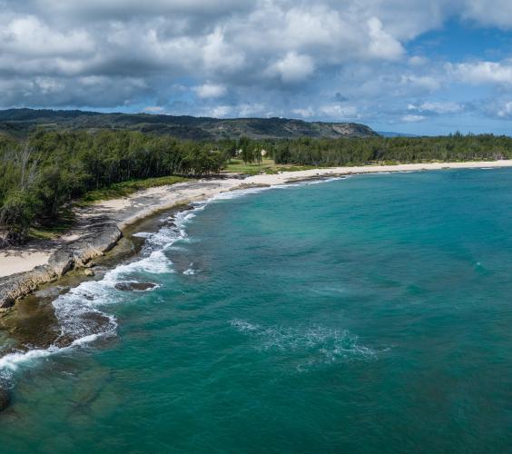 Turtle Bay coastline