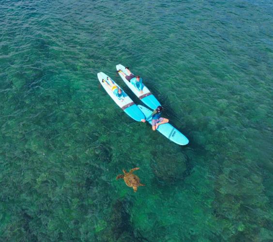 Jamie O'Brien Surf Experience