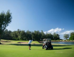 Golfers on Turtle Bay course green