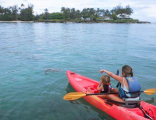 Turtle Kayak tour