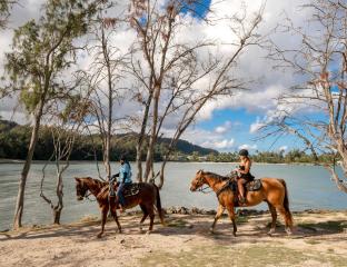 Horseback riding on the beach