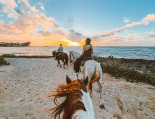 Horseback riding on the beach