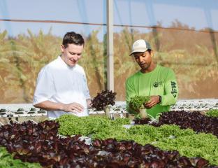 Kuilima Farm at Turtle Bay Resort