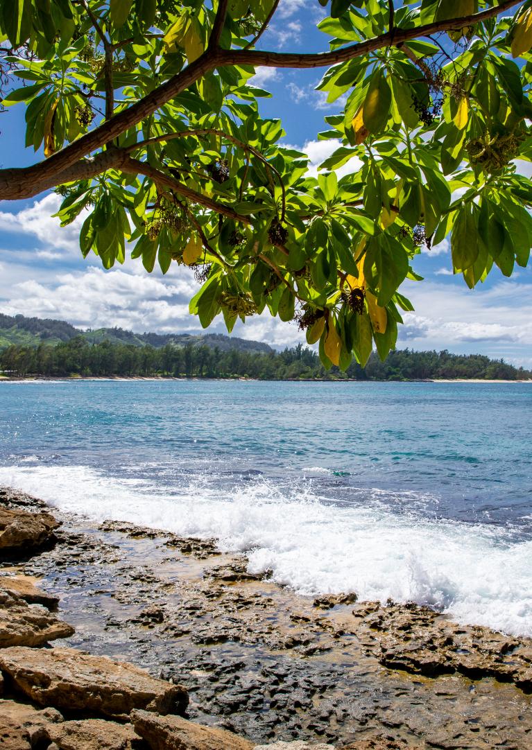 Oceanfront view from resort